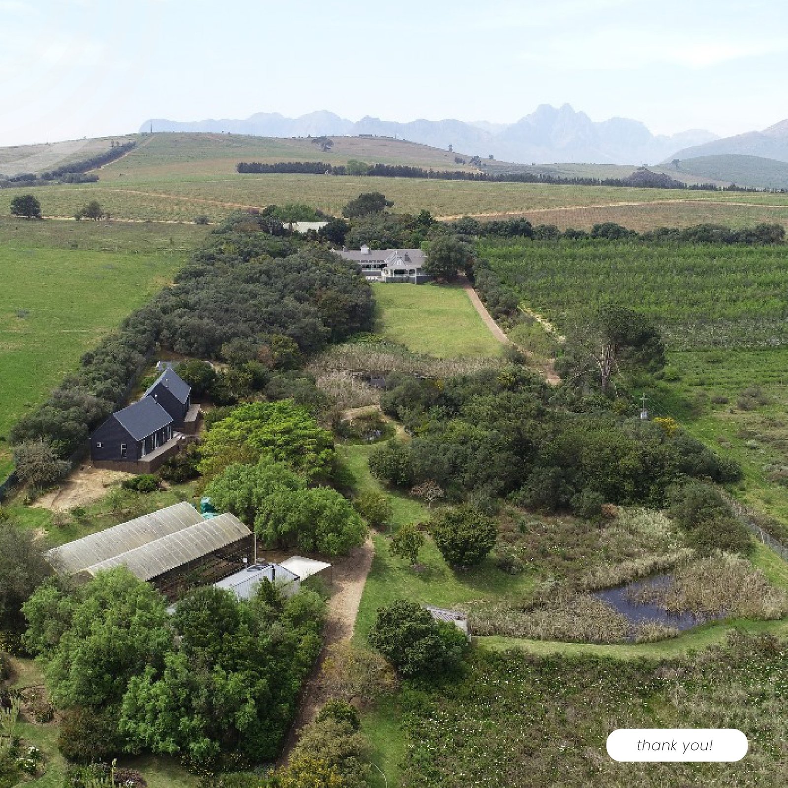 3.1Ha Luxury Smallholding for Sale in Devon Valley, Stellenbosch - Botanical Garden Estate with Guesthouse & Income Cottages image 5