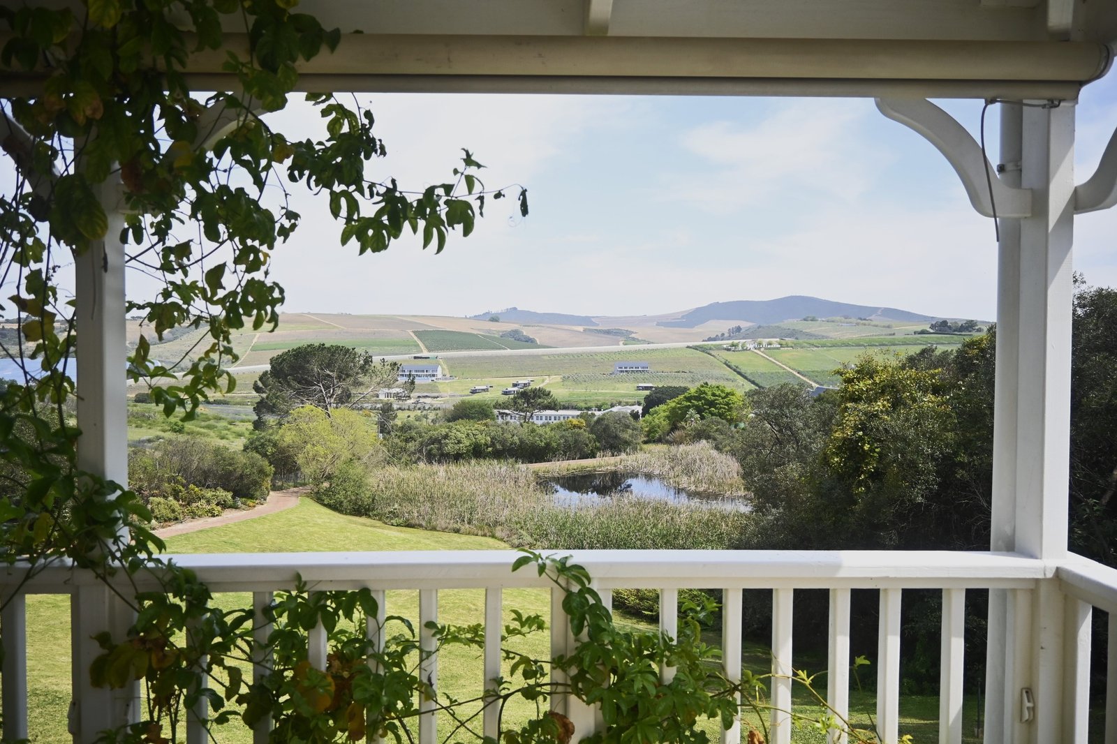 3.1Ha Luxury Smallholding for Sale in Devon Valley, Stellenbosch - Botanical Garden Estate with Guesthouse & Income Cottages image 9