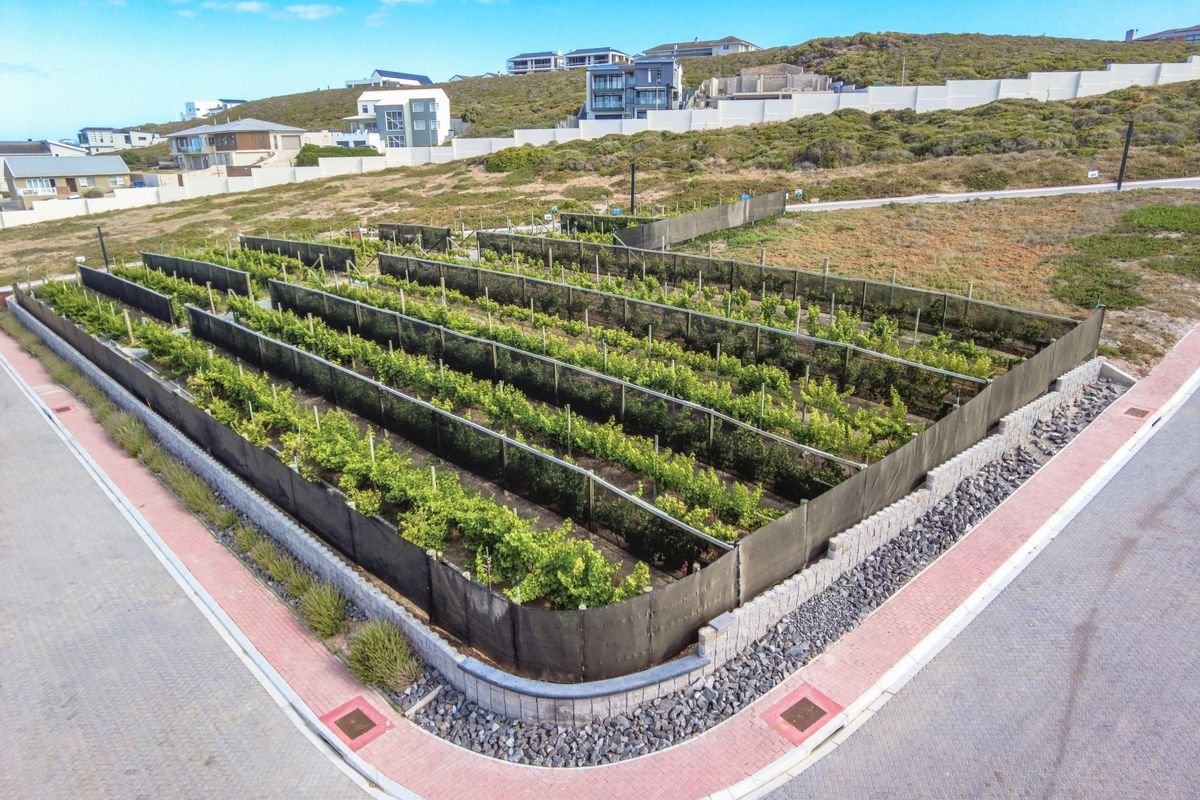 701m² Vacant Land for Sale in Pearl Point Estate, Yzerfontein - Sea Views & Luxury Living image 15