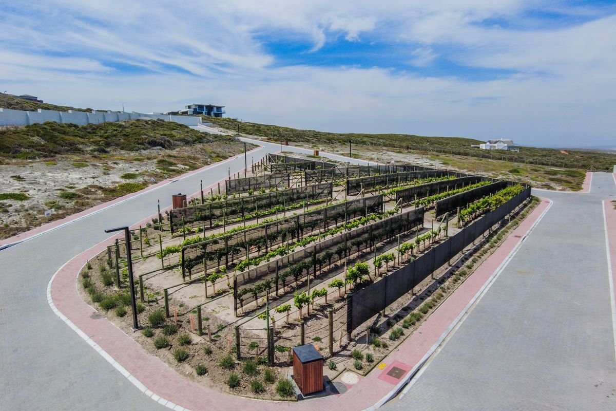 701m² Vacant Land for Sale in Pearl Point Estate, Yzerfontein - Sea Views & Luxury Living image 18