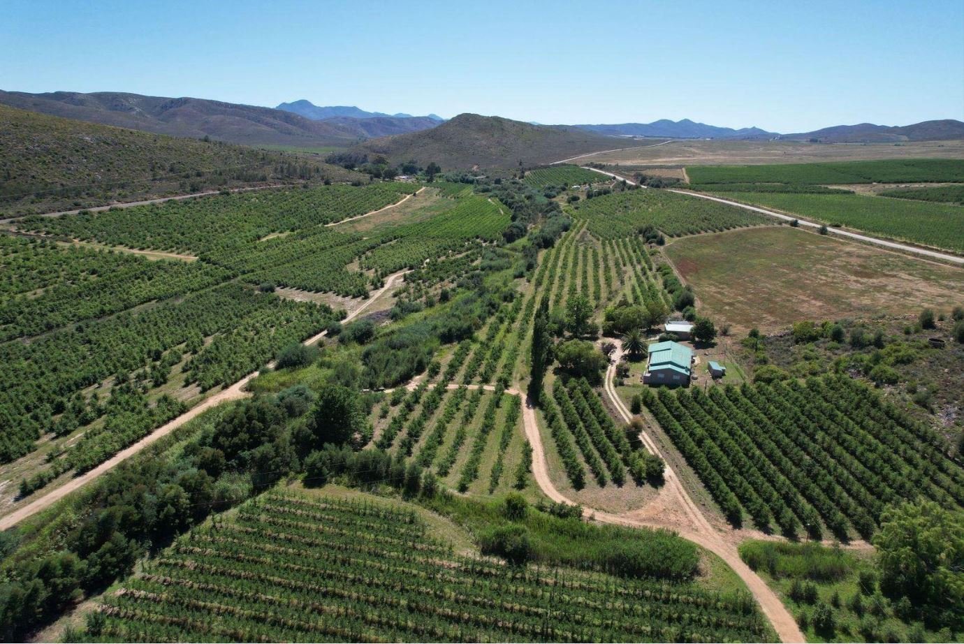 1,840ha Export Fruit Farm for Sale Near Uniondale, Western Cape | Apples, Pears & Water Security