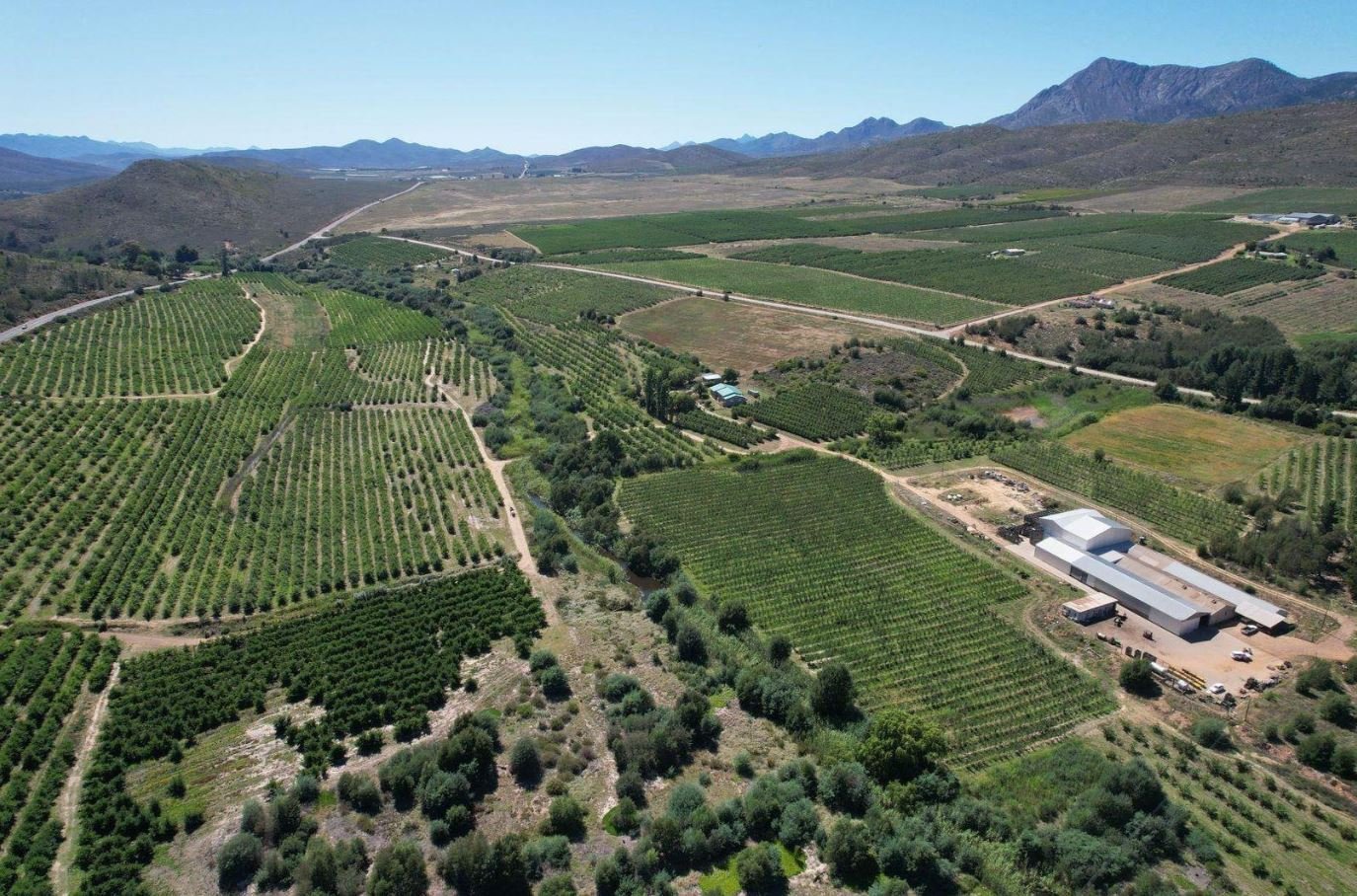 1,840ha Export Fruit Farm for Sale Near Uniondale, Western Cape | Apples, Pears & Water Security