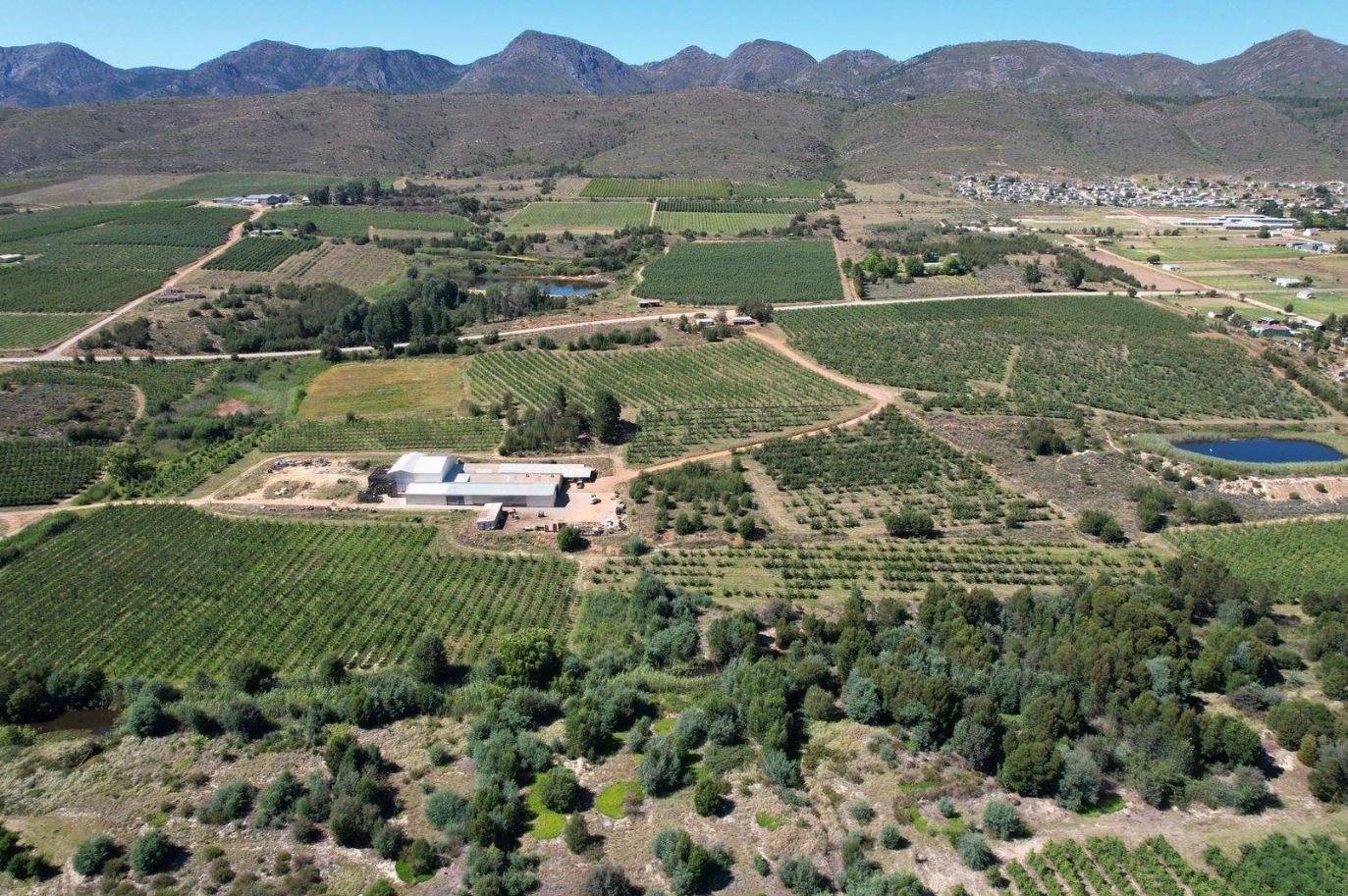 1,840ha Export Fruit Farm for Sale Near Uniondale, Western Cape | Apples, Pears & Water Security