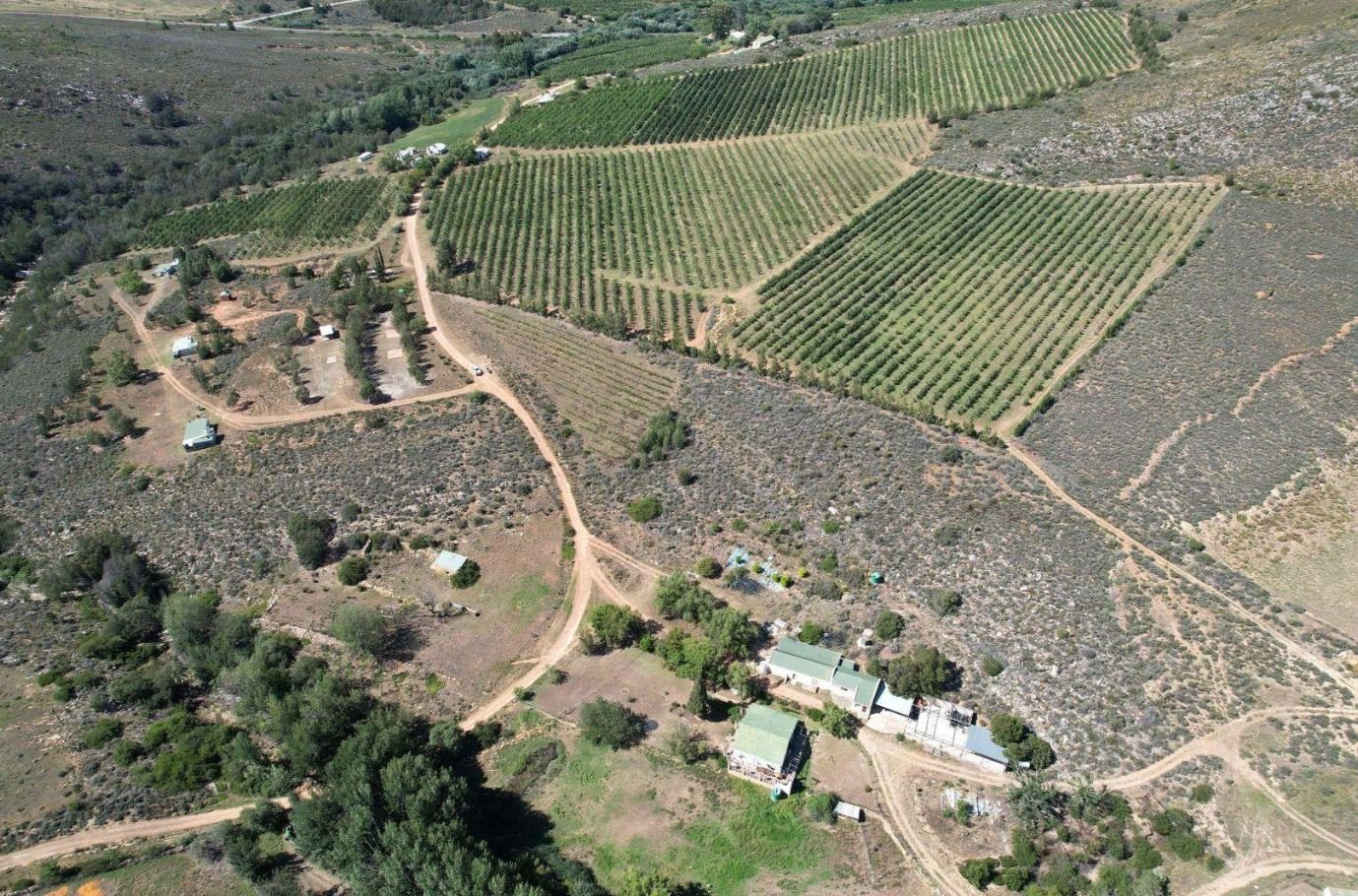 1,840ha Export Fruit Farm for Sale Near Uniondale, Western Cape | Apples, Pears & Water Security image 6