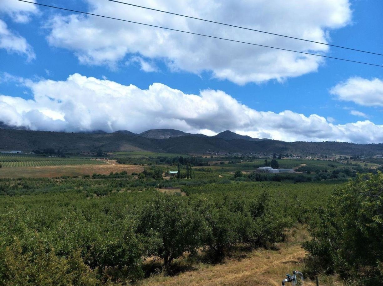 1,840ha Export Fruit Farm for Sale Near Uniondale, Western Cape | Apples, Pears & Water Security image 7