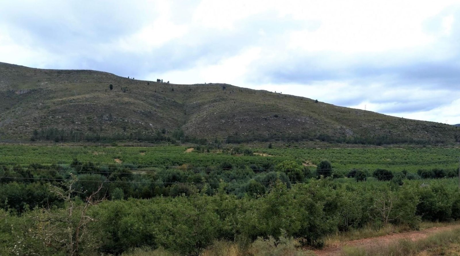 1,840ha Export Fruit Farm for Sale Near Uniondale, Western Cape | Apples, Pears & Water Security image 10