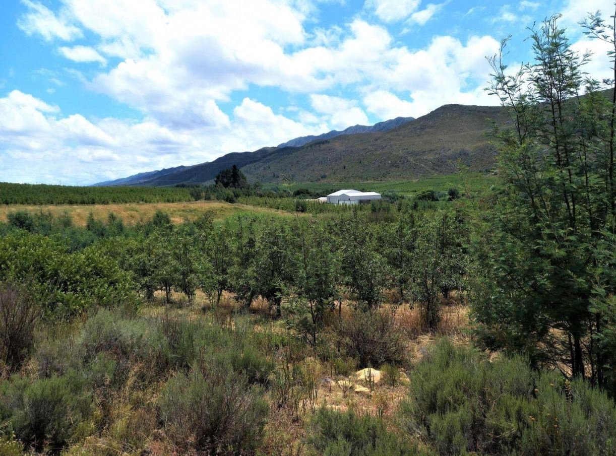 1,840ha Export Fruit Farm for Sale Near Uniondale, Western Cape | Apples, Pears & Water Security image 11