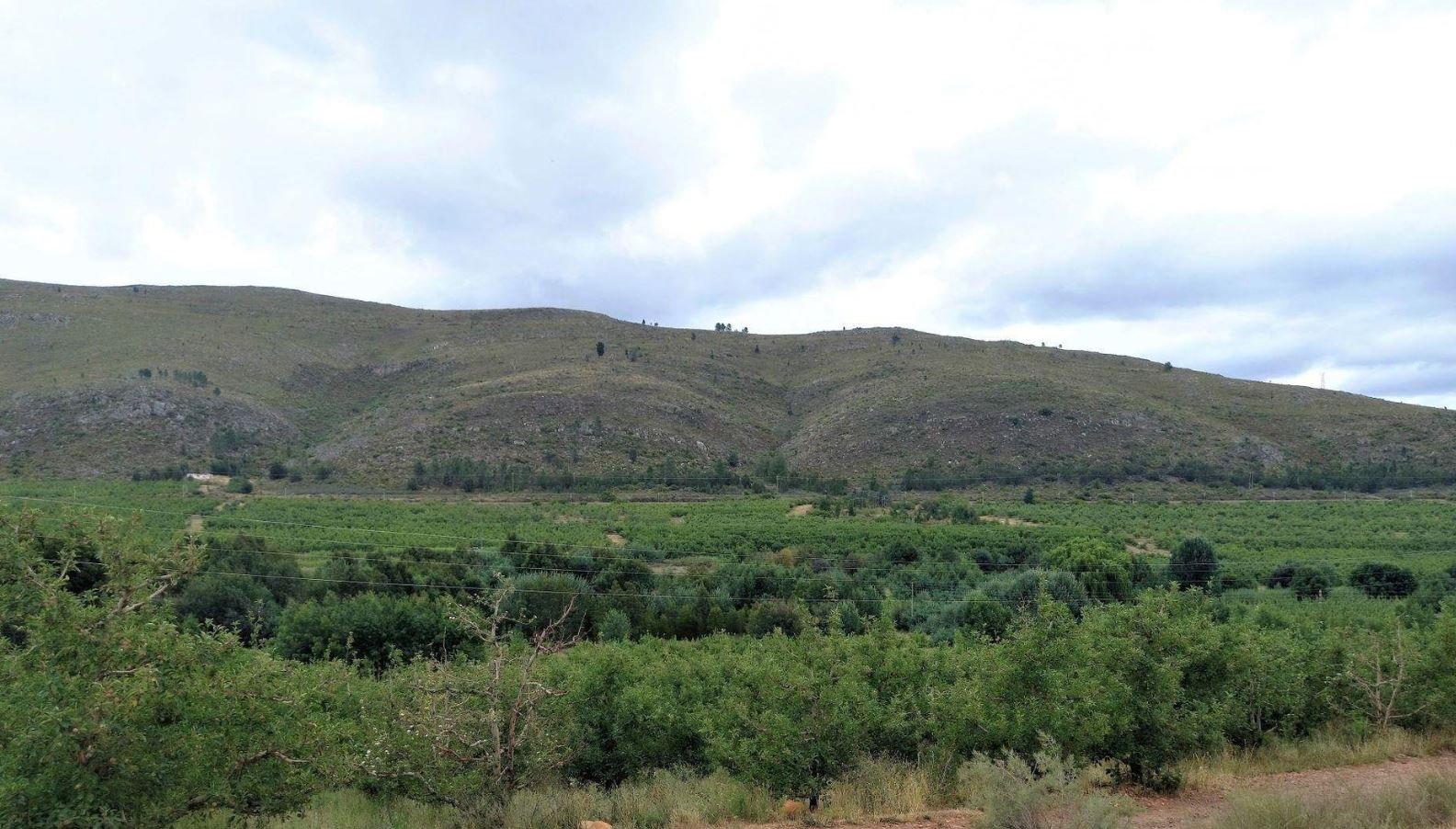 1,840ha Export Fruit Farm for Sale Near Uniondale, Western Cape | Apples, Pears & Water Security image 13
