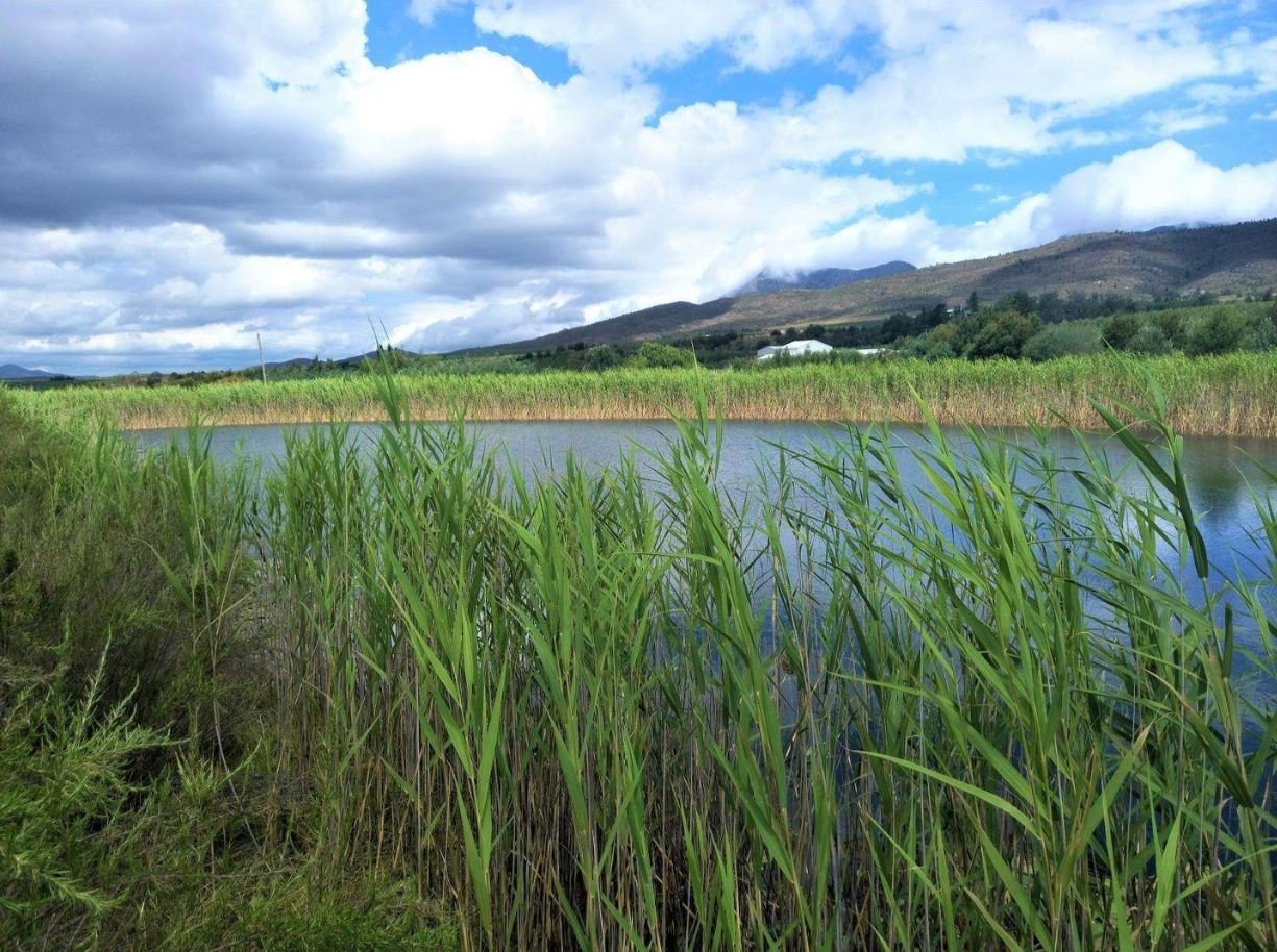 1,840ha Export Fruit Farm for Sale Near Uniondale, Western Cape | Apples, Pears & Water Security image 15