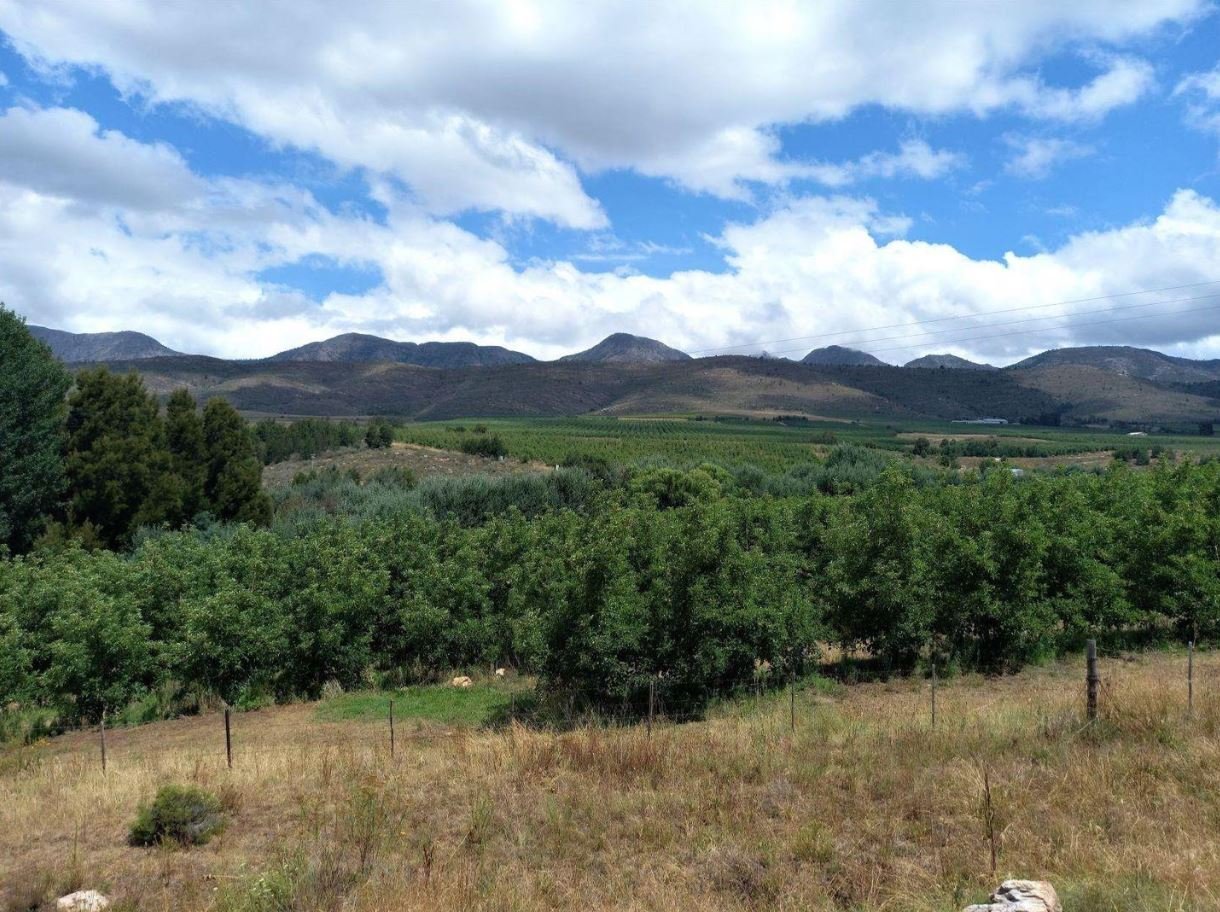 1,840ha Export Fruit Farm for Sale Near Uniondale, Western Cape | Apples, Pears & Water Security image 18