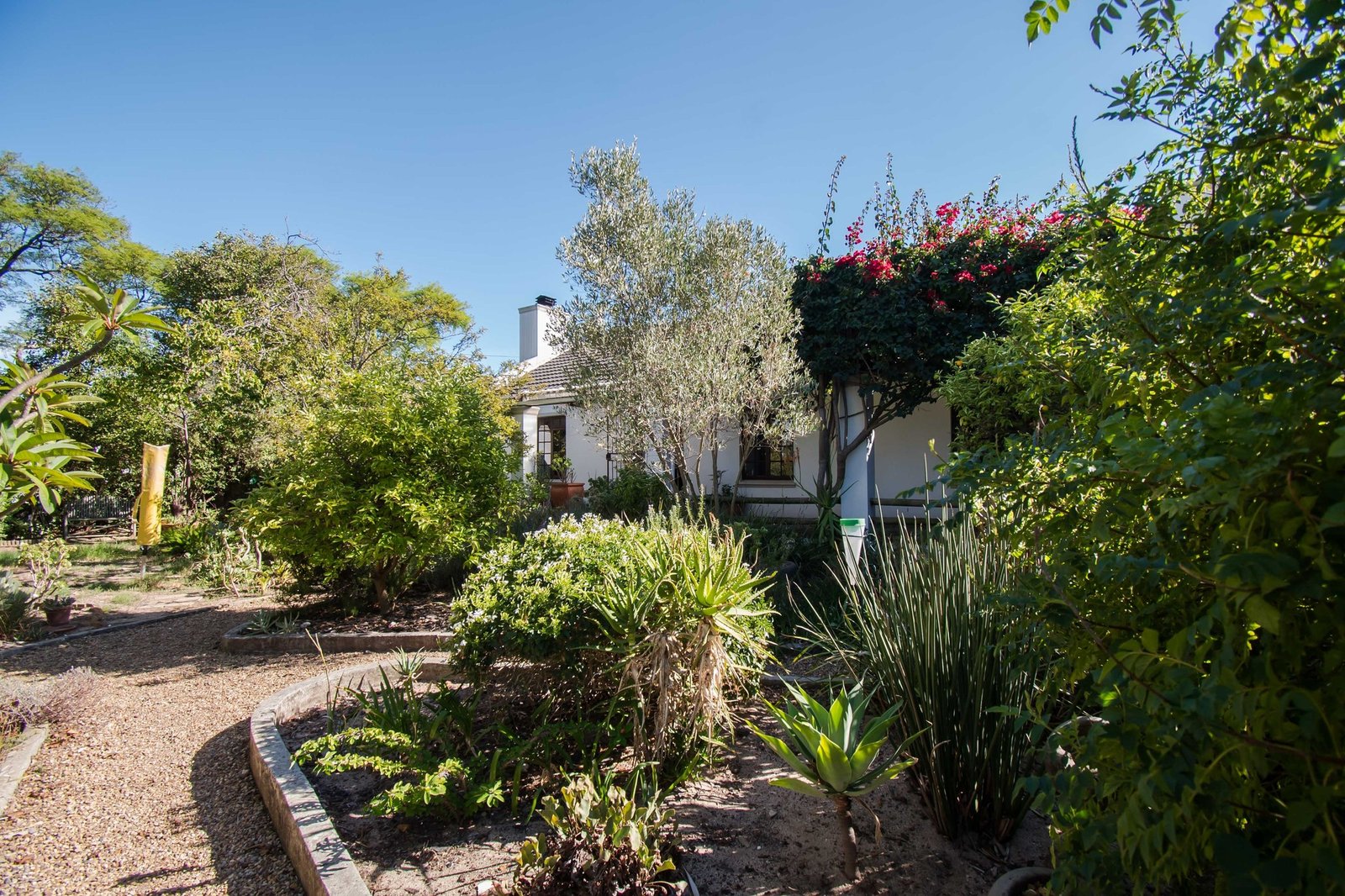 3 Bedroom Cape Cottage for Sale in Somerset West | Granny Flat, Garden & Walk to Somerset House image 16