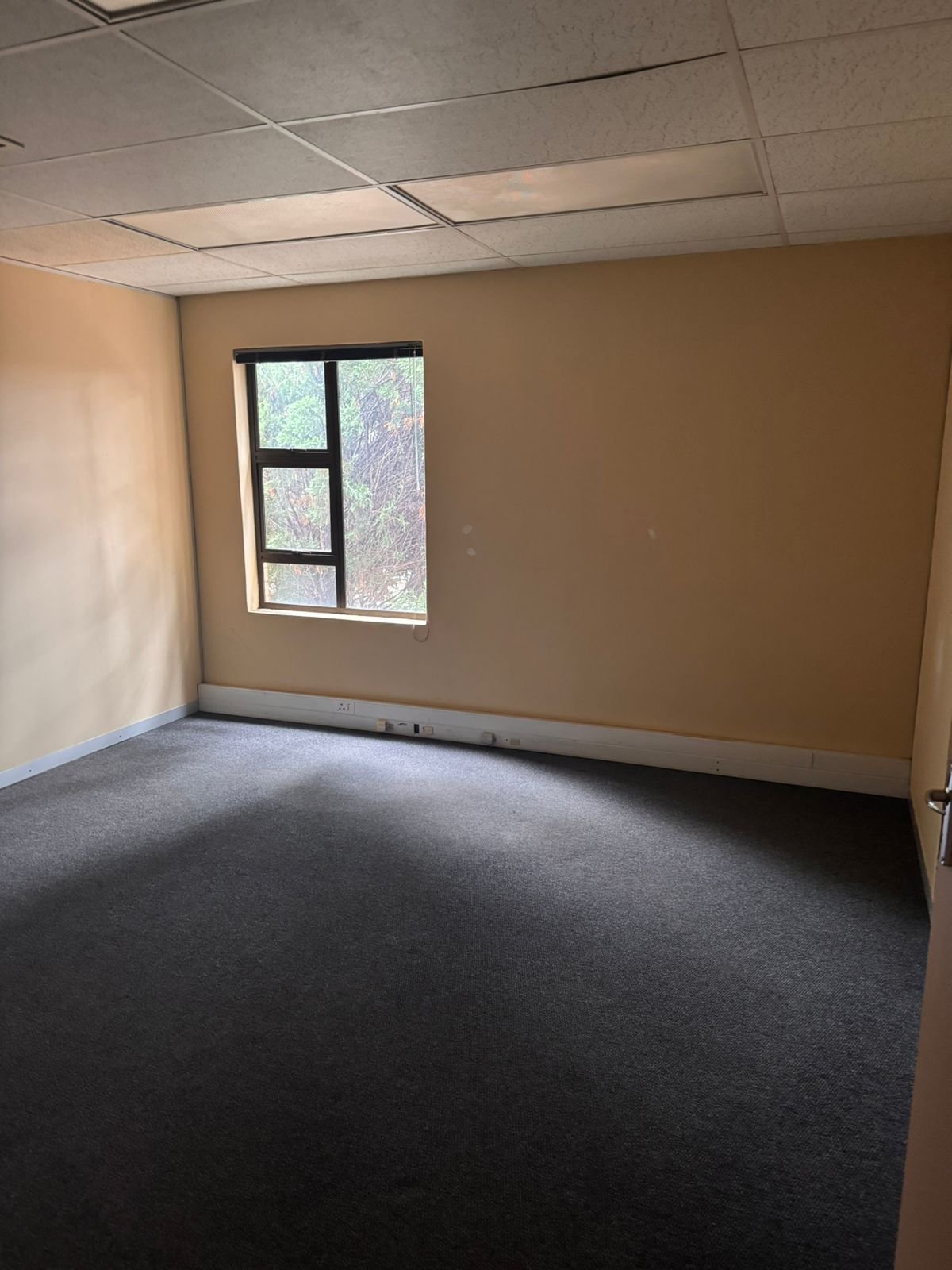 172m² First-Floor Office Space to Let in Fourways - Hammets Crossing Office Park image 6