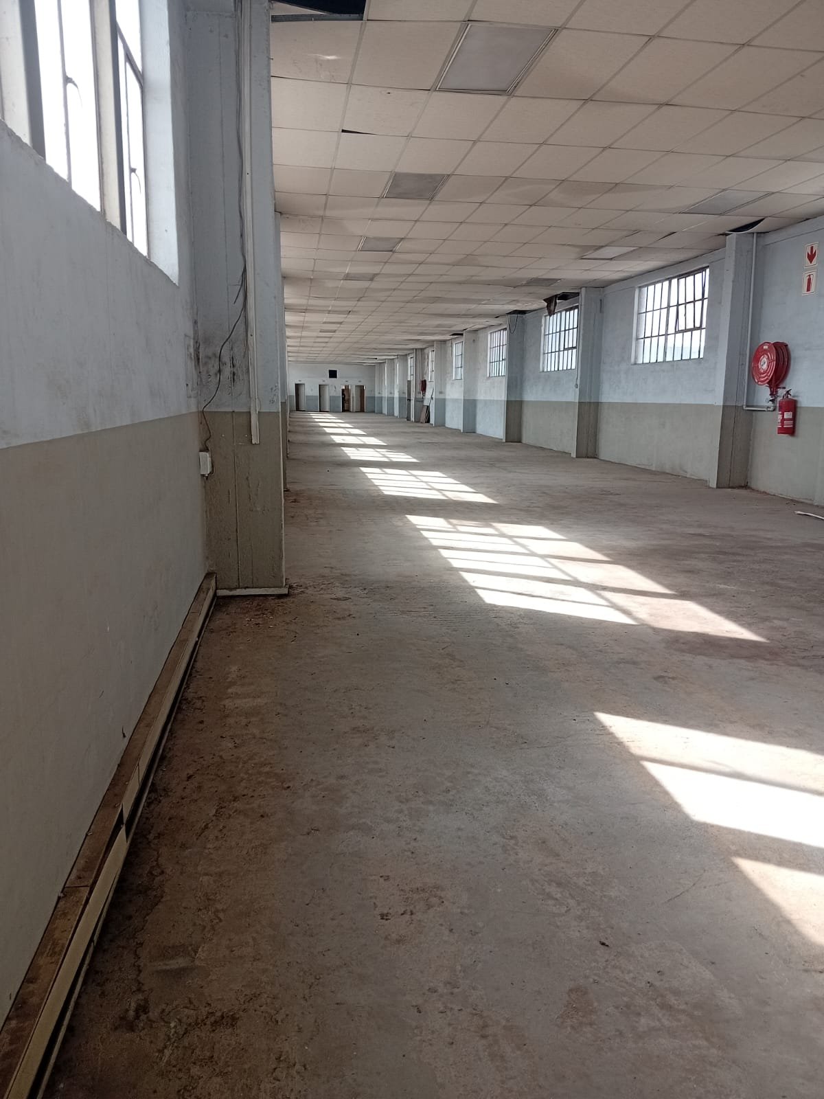 B10-2 – 525m² Factory, Storage, Distribution Space to Let image 8
